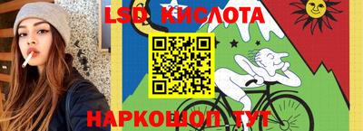 индика Ирбит