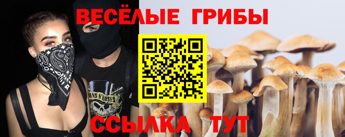Галлюциногенные грибы MAGIC MUSHROOMS Лыткарино