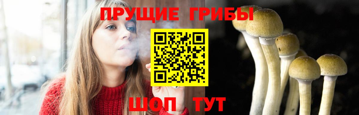 Лыткарино  Псилоцибиновые грибы прущие грибы  Галлюциногенные грибы мухоморы  где найти наркотики  Вход с VPN 